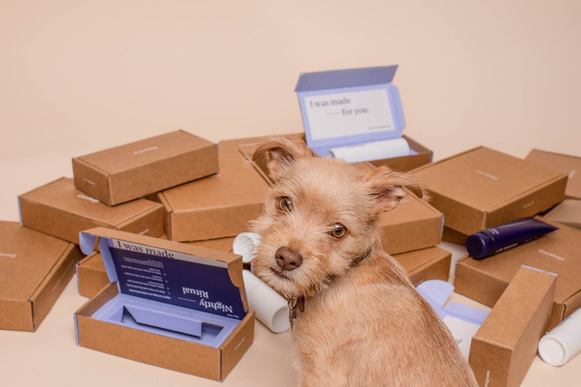 JavaScript Package Manager