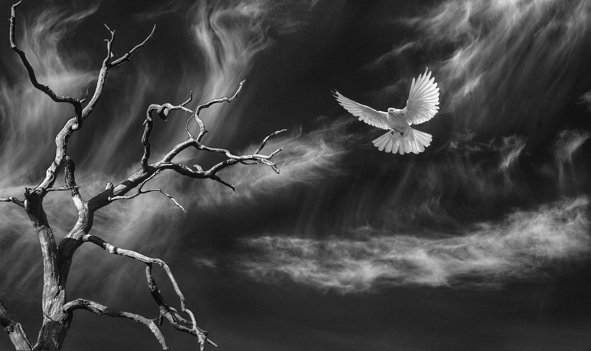 Temporal Dead Zone